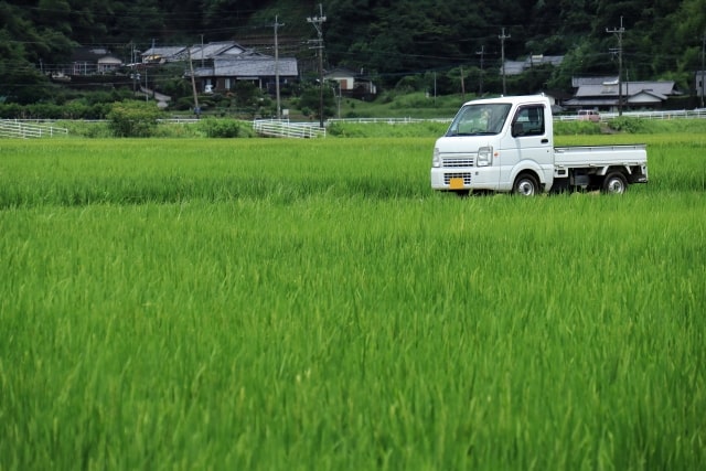 畑道を走る軽トラ